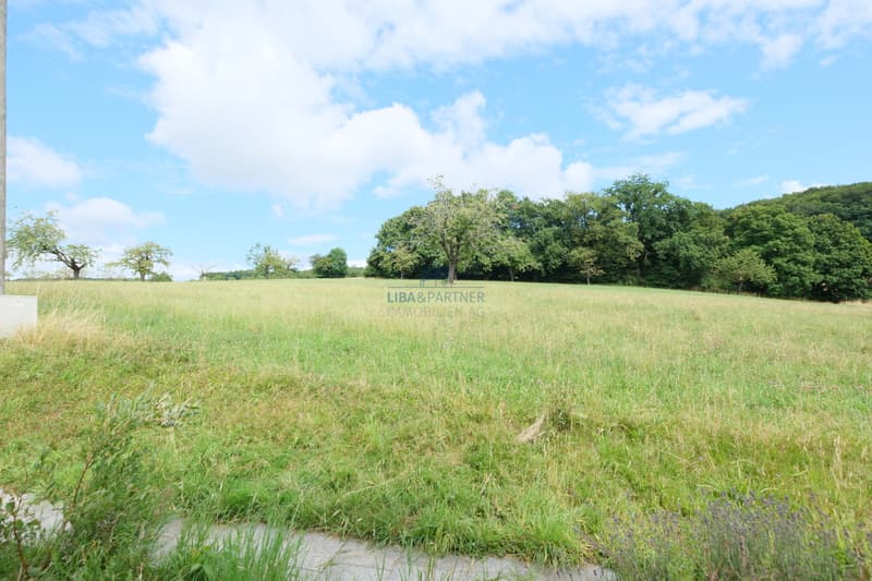 Gartenseite (Osten) / Garden side (east)