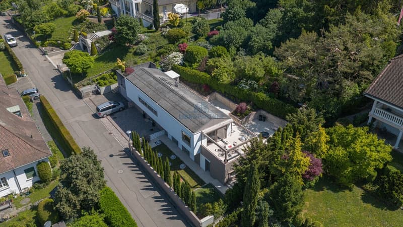 Wohnen mit Klasse - Hochwertige Villa in begehrter Lage von Muttenz (1)