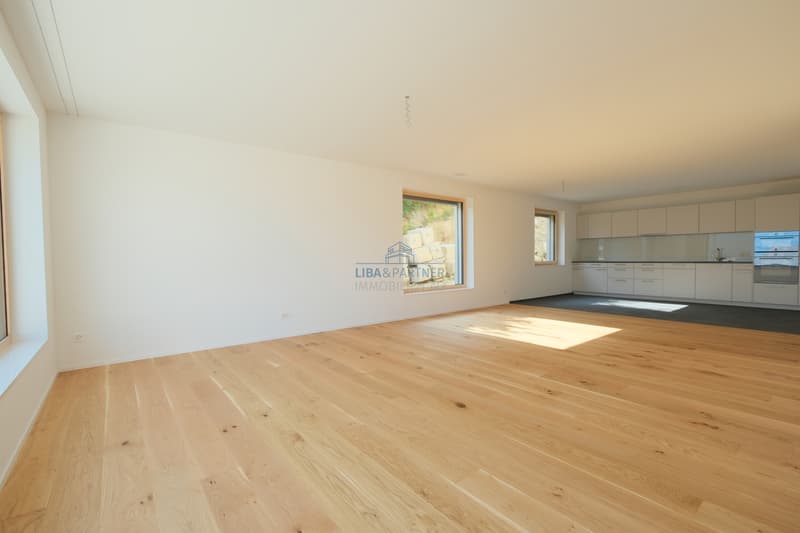 Kochen/Essen / Kitchen/dining/living area