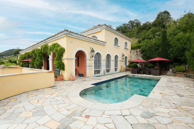 Aussenansicht Pool  / Exterior view of the pool