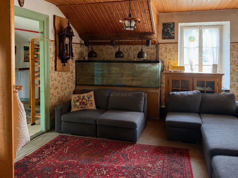 Wohnzimmer  / Living room