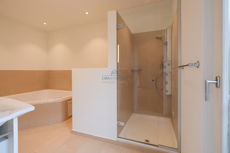 Badezimmer mit Whirlpool, DU & WC / Bathroom with whirlpool tub, shower, and toilet
