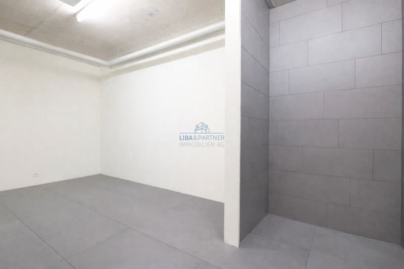 Bruderholz: Exklusive Design-Attikawohnung mit Panoramablick (12)
