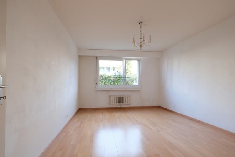 Zimmer / Room