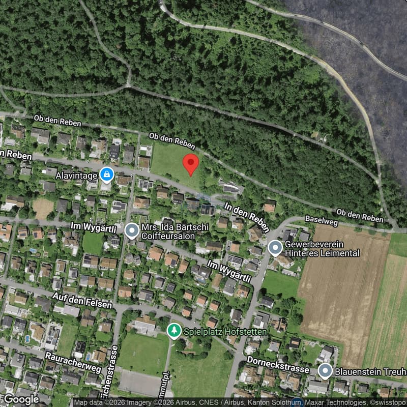 Exklusives Bauland mit Panorama - privilegierte Lage im Leimental (5)