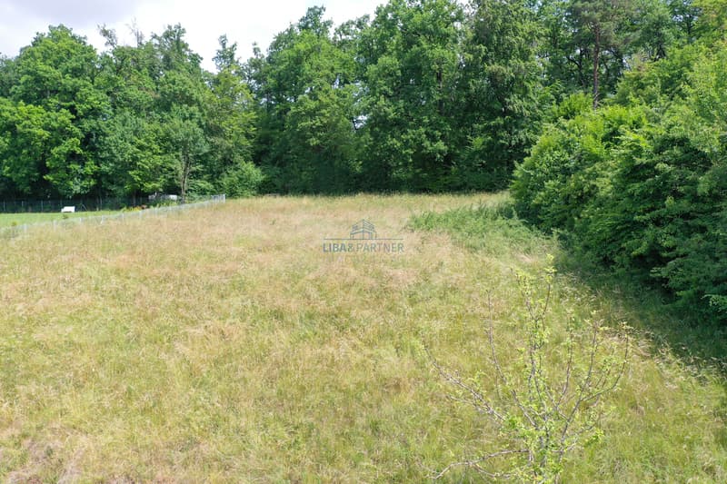 Grundstück / Property