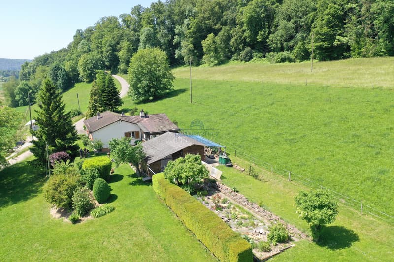 Hausansicht / House view