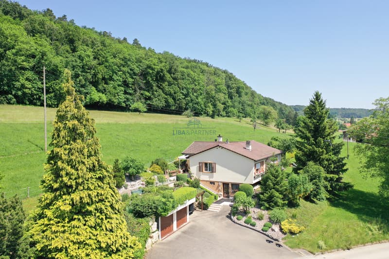 Hausansicht / House view