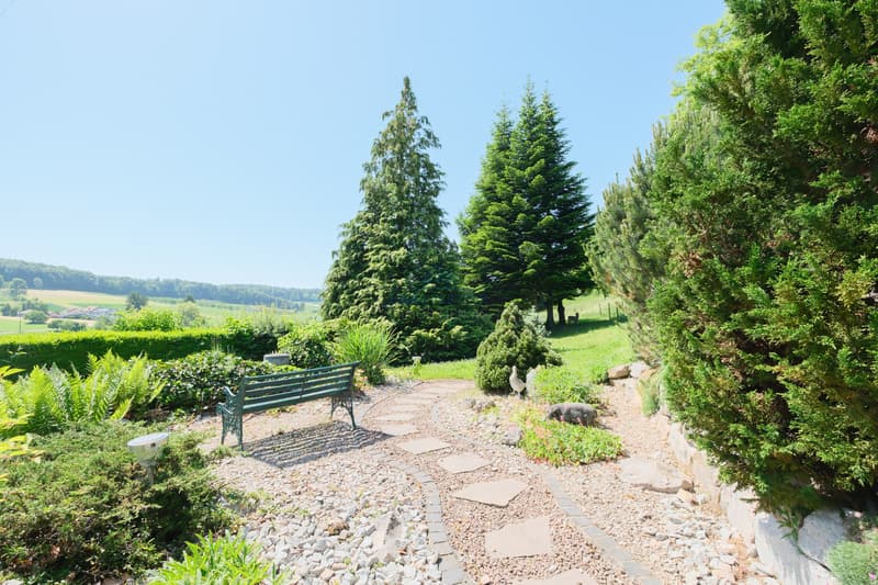 Garten / Garden