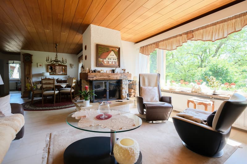 Wohnzimmer / Living room