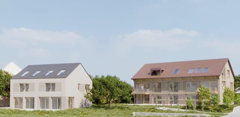 *Vorankündigung Neubauprojekt* Doppeleinfamilienhaus und Mehrfamilienhaus in Sutz (3)