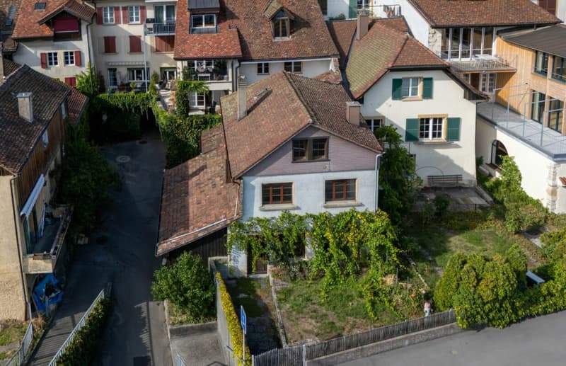 Liegenschaft mit Seezugang (4)