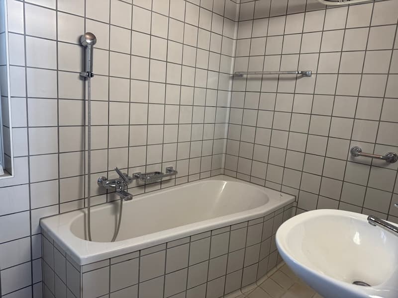 Charmantes Einfamilienhaus mit Baulandreserve an ruhiger Lage in Aarau (8)