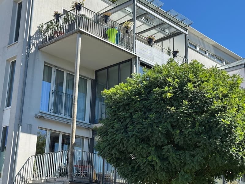 Zentral, ruhig und mit unverbaubarer Aussicht: Ihr neues Zuhause in Suhr (1)