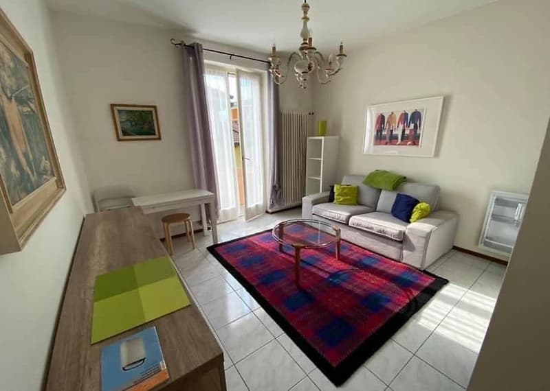 Spacious living room with hardwood floors, white walls, large windows, gray sofa, coffee table, and a colorful area rug. The room also features a balcony or terrace accessible through the windows.