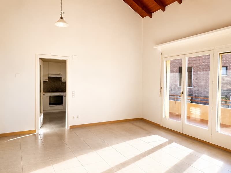 Affittiamo appartamento duplex 6.5 locali con grande balcone (3)