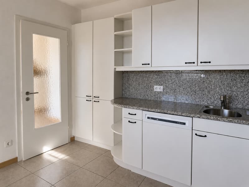 Affittiamo appartamento duplex 6.5 locali con grande balcone (5)