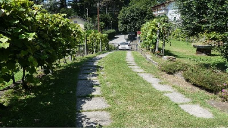 a dirt driveway surrounded by grapevines, a car parked in a parking lot on the right, a house in the distance, a grassy yard with plants and flowers, and a red sign
