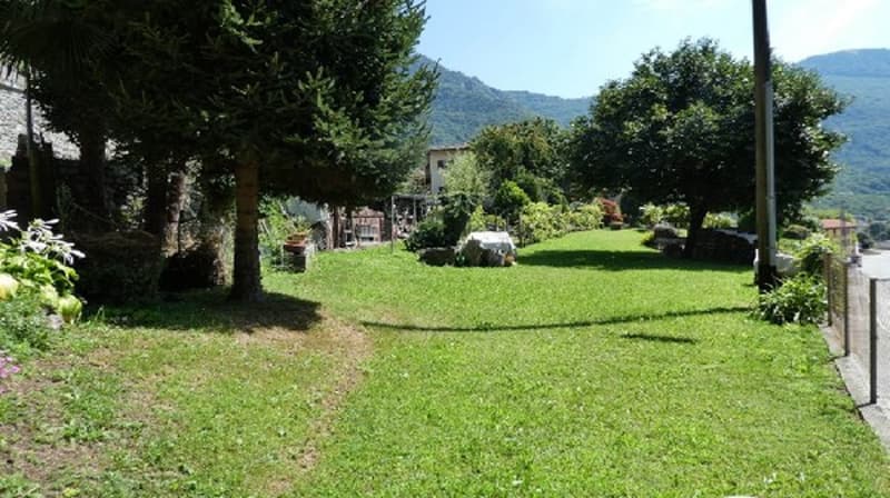 Large grassy garden, lush greenery, mountains in the distance