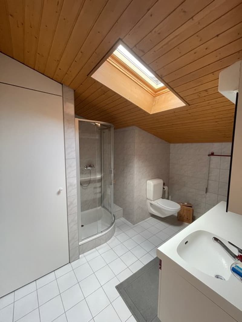 Vendiamo casa ticinese con 2 appartamenti (9)