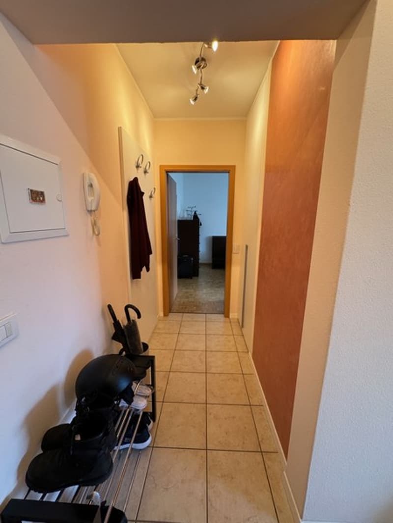 Vendiamo appartamento 2.5 locali al 1° piano (3)
