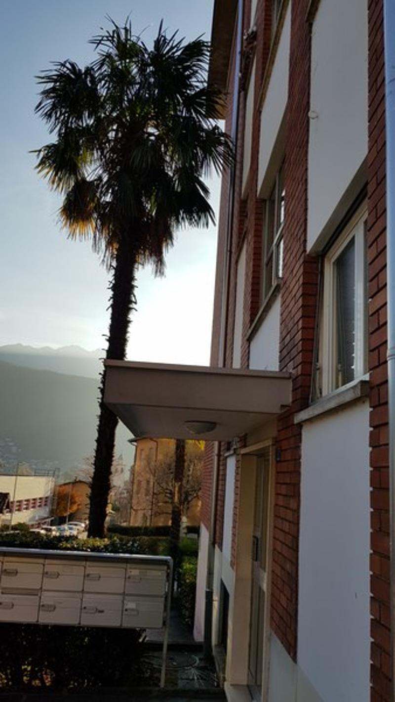 red brick building, white wall, awning, white post office box, palm tree, mountain in the background