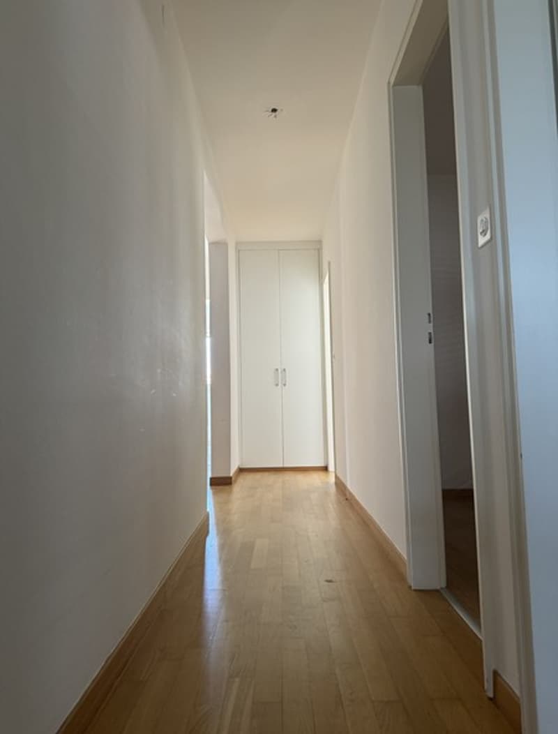 long hallway, wooden floors, white walls, a white wardrobe in the hallway, open doors