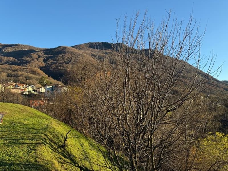 The image shows a rural landscape with hills and mountains in the background. In the foreground, there is a bare tree with bare branches against a clear blue sky. The ground is covered in green grass, and there appear to be some buildings or houses visibl