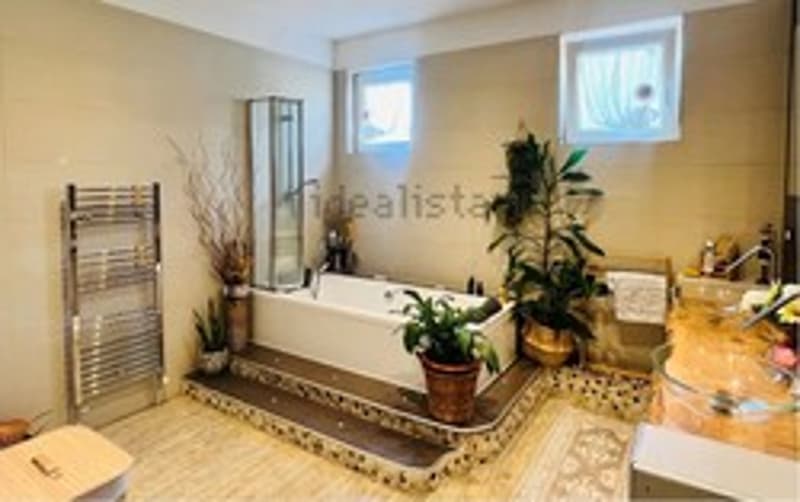 White bathtub, raised floor, shower, plants, window