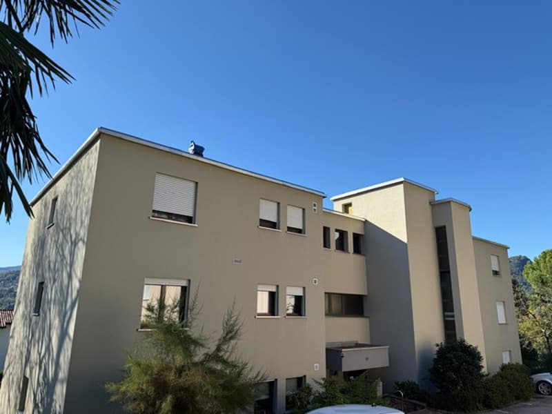 Multi-storey apartment building, beige paint, multiple windows, chimney, greenery in front, mountain in the background
