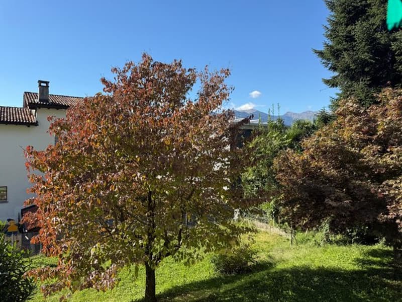 lawn, small tree, brown leaves, green leaves, plants, small house in background, mountain range in background