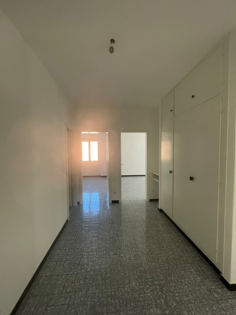Appartamento ristrutturato di 4 locali a Riva San Vitale (7)