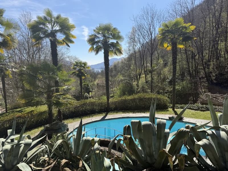 Oggetto per amatori - Liebhaber Objekt - Property suited to connoisseurs (3)