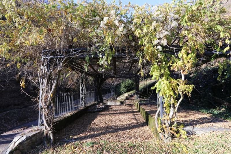 Oggetto per amatori - Liebhaber Objekt - Property suited to connoisseurs (6)
