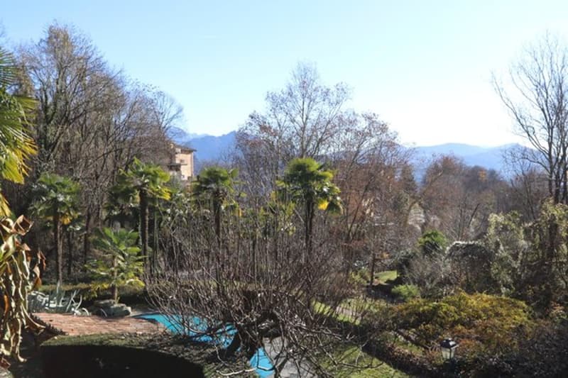Oggetto per amatori - Liebhaber Objekt - Property suited to connoisseurs (6)