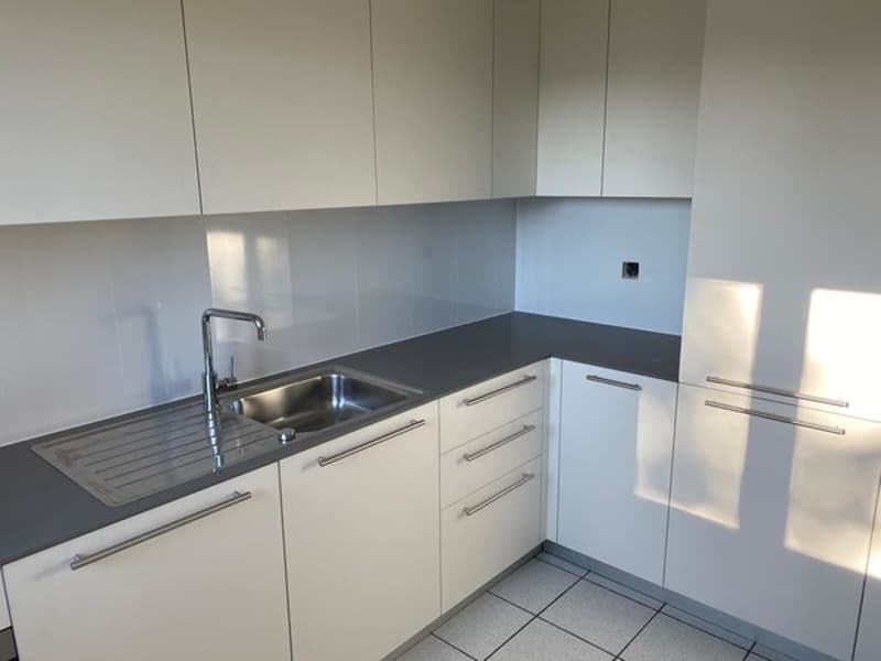 Modern kitchen with white cabinets, black countertop, stainless steel sink, and a dishwasher.