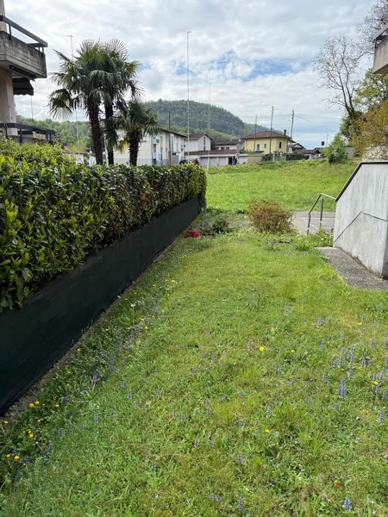 green lawn, hedge, flowers, mountain in the background