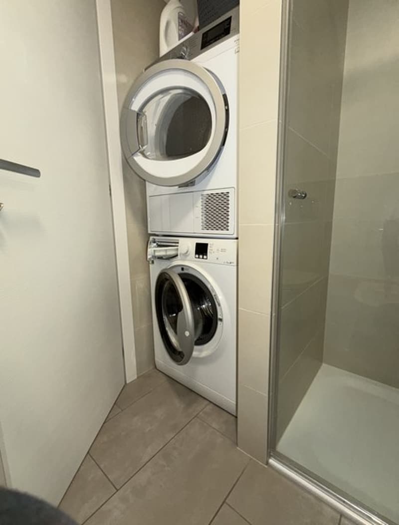 Elegante appartamento arredato di 3.5 locali con vista lago (11)