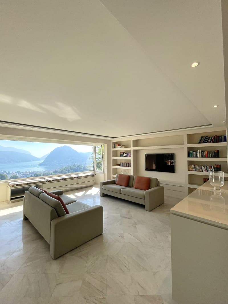 Spacious living room with large windows, two couches, bookshelves, and a TV.