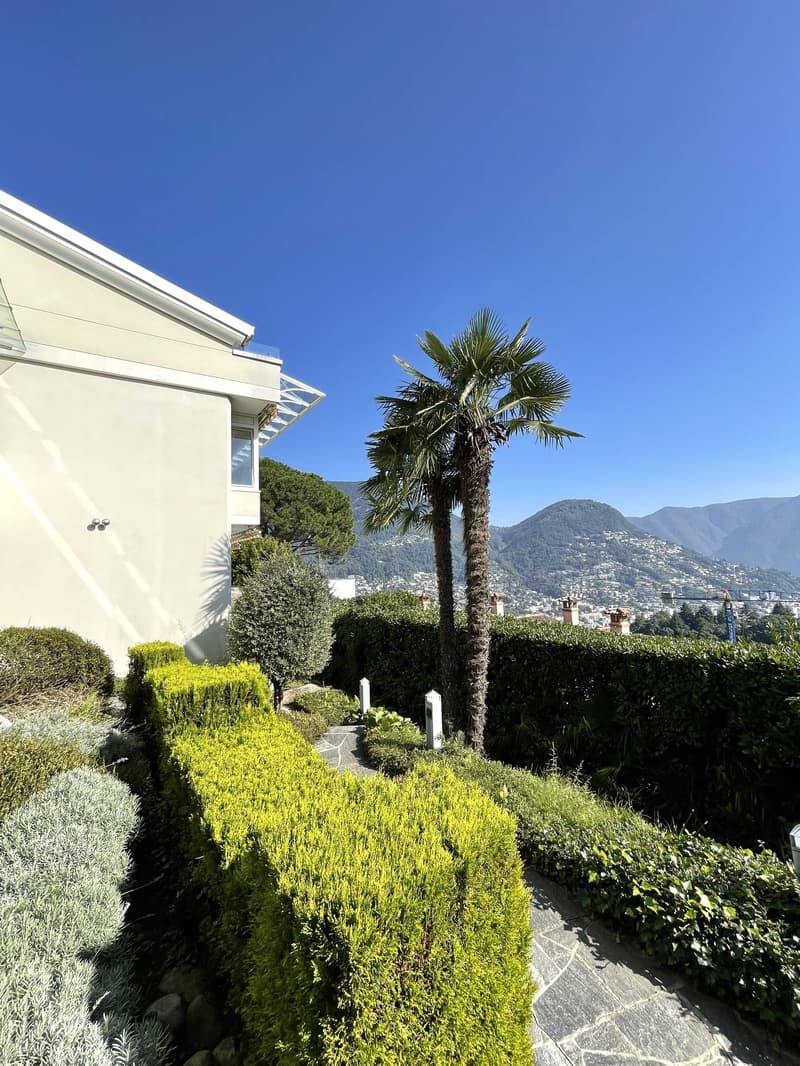 A well-maintained garden with neatly trimmed hedges, a central pathway, and a backdrop of lush greenery and mountains.