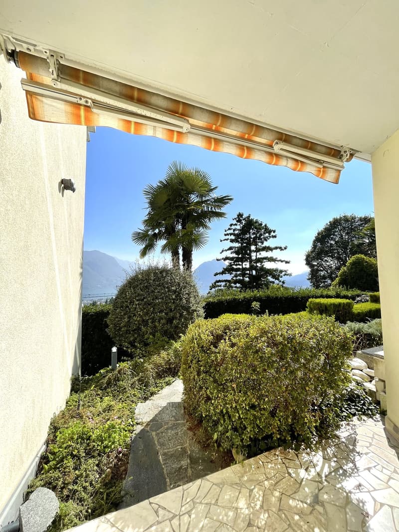 Outdoor terrace with stone flooring, a palm tree, and a view of mountains.