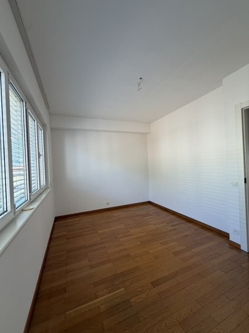Lugano-Cassarate. Affittiamo appartamento 3.5 locali vista lago (8)