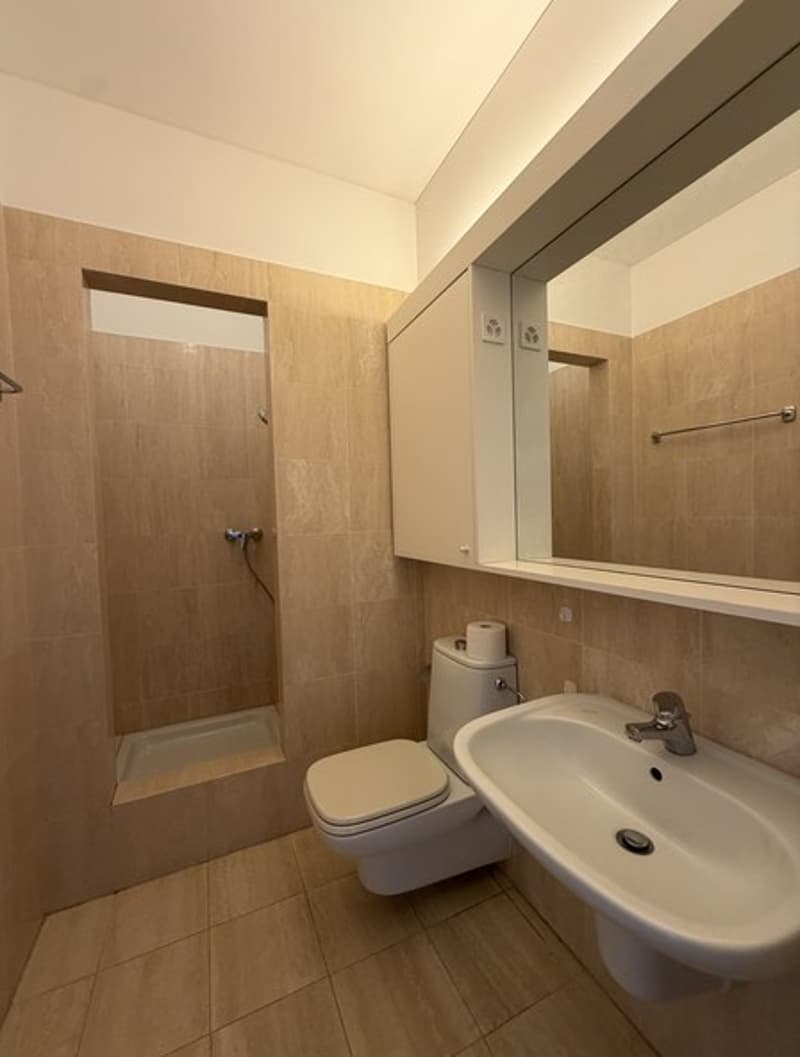 Lugano-Cassarate. Affittiamo appartamento 3.5 locali vista lago (10)