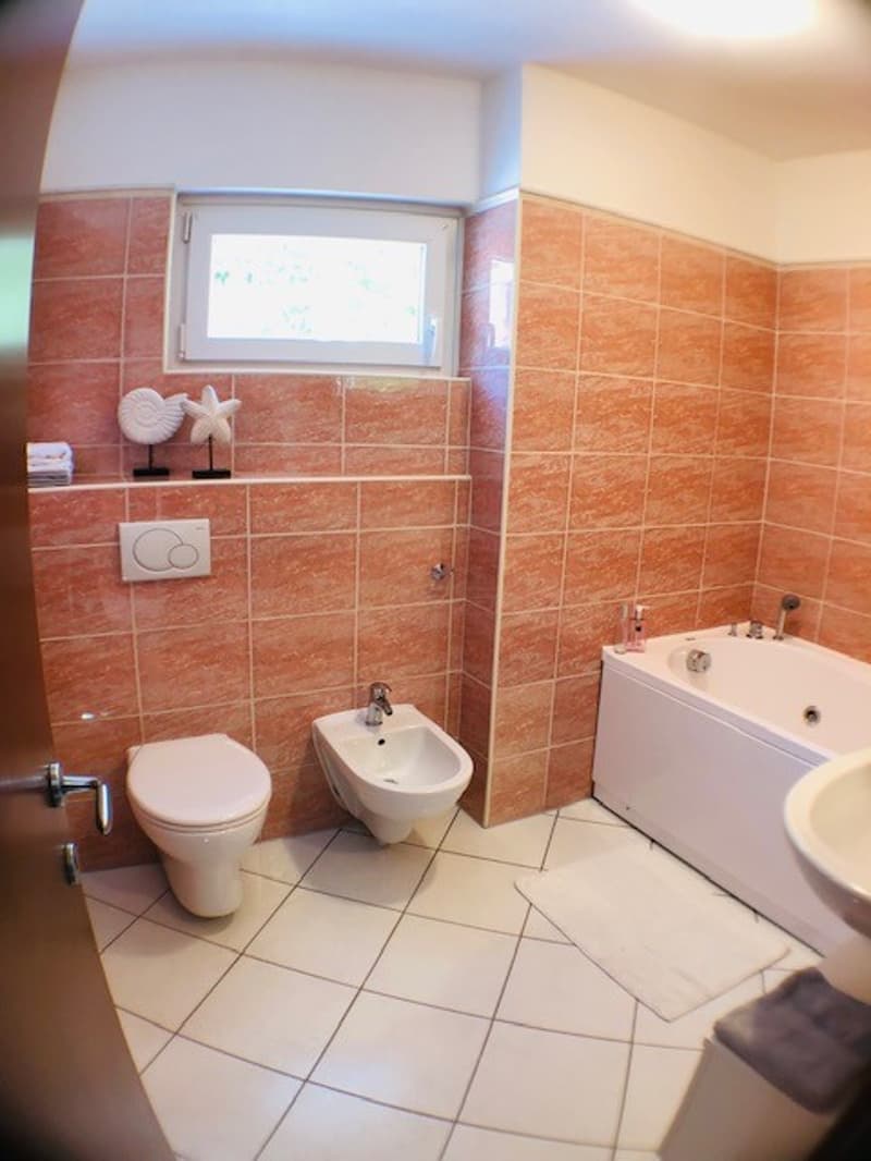 Affittiamo bellissimo e ampio 4.5 locali (14)