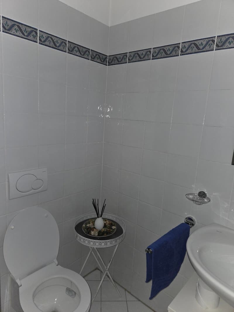 Affittiamo bellissimo e ampio 4.5 locali (5)