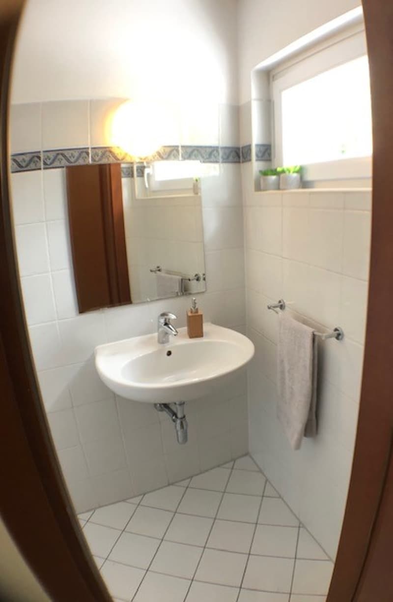 Affittiamo bellissimo e ampio 4.5 locali (13)