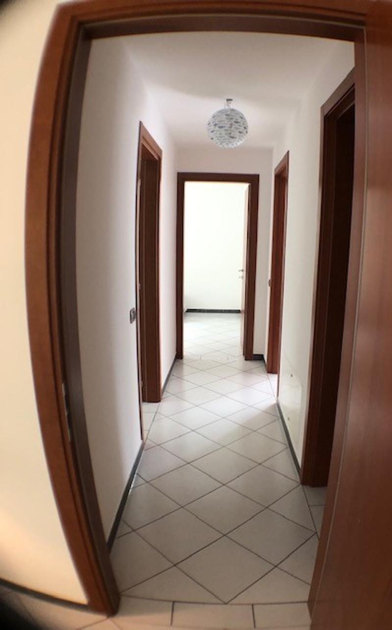 Affittiamo bellissimo e ampio 4.5 locali (8)