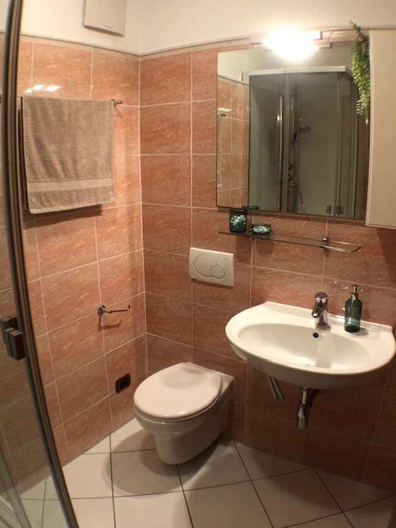 Affittiamo bellissimo e ampio 4.5 locali (12)