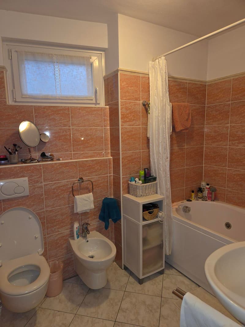 Affittiamo bellissimo e ampio 4.5 locali (7)
