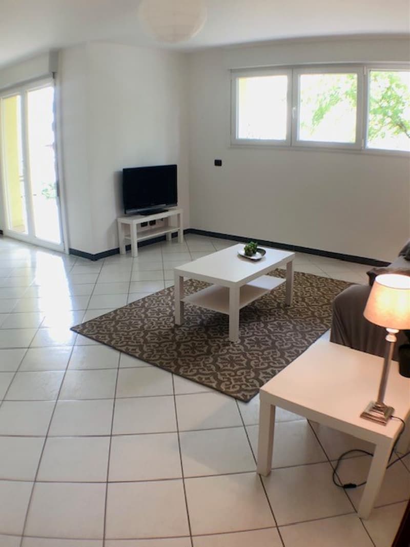 Affittiamo bellissimo e ampio 4.5 locali (3)